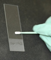 Adequate submission of vaginal/endometrial smears: After obtaining the sample, the cotton tip must be gently rolled on a glass slide. The already-prepared smear must immediately be cytosprayed or air-dried. Is recommended not to leave the smear in the open as it can get contaminated.