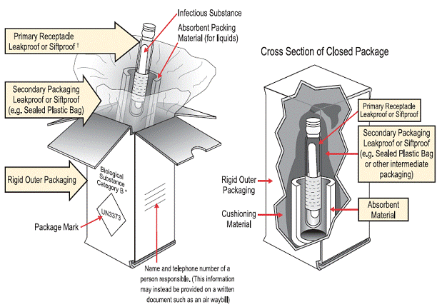 Description of how to package a specimen for shipment to BADDL