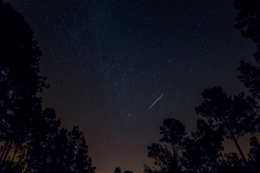 Revels Pond Perseid