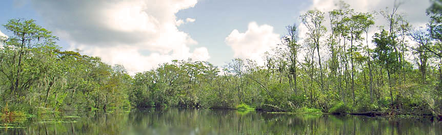 Photo: Mill's Creek