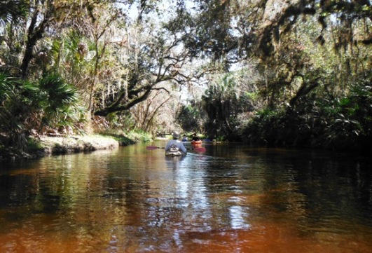 Kayaking Arbuckle Creek