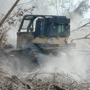 Photo: Heavy dozer 