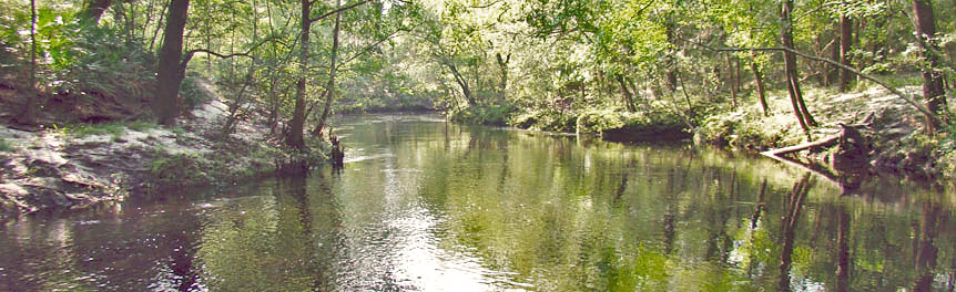 Photo: North Fork of Black Creek