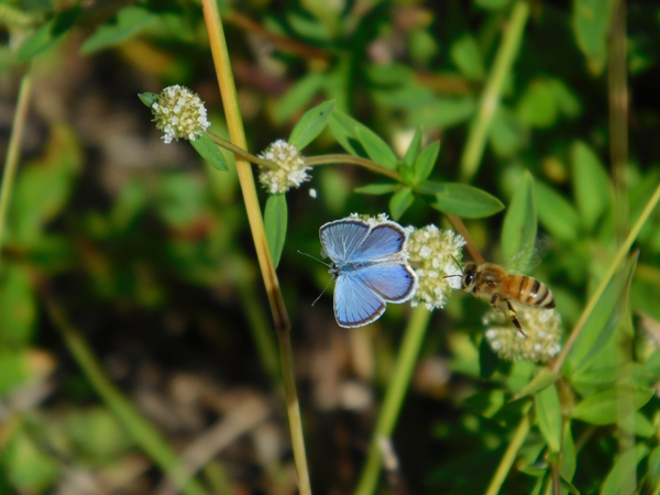Photo of the Year - In Awe of Nature at Myakka State Forest