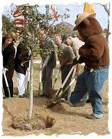 Photo: Smokey bear helps plant a tree