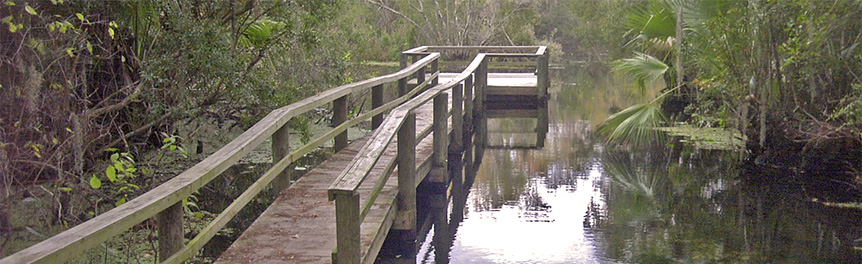 Photo: The St. Johns River