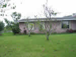 Citrus greening